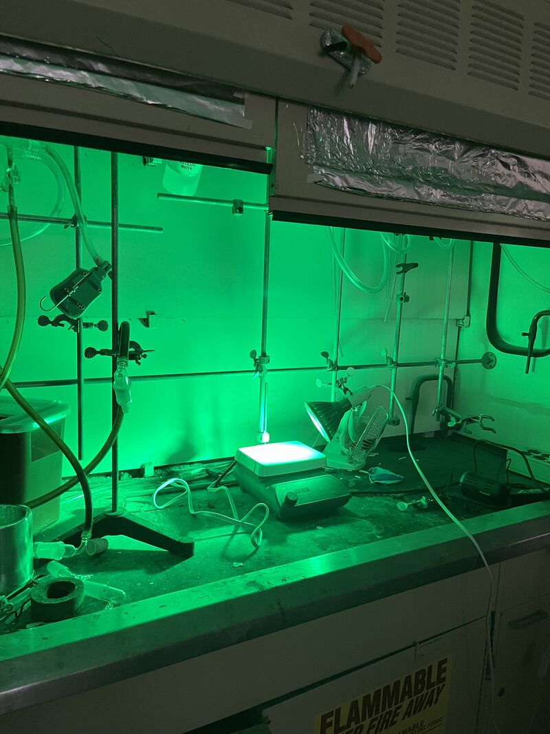 The World Glows Green in Celebration of International DM Awareness Day ...