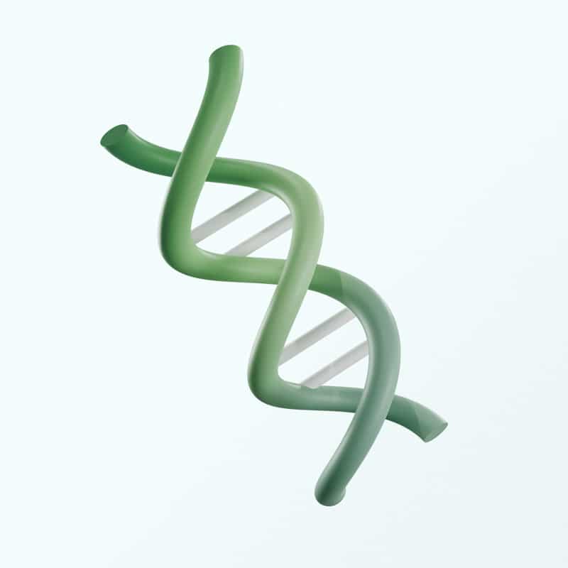 Respiratory system | Myotonic Dystrophy Foundation